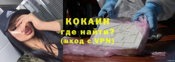mdpv Богородск