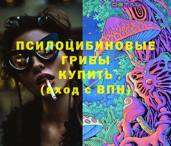 mdpv Богородск
