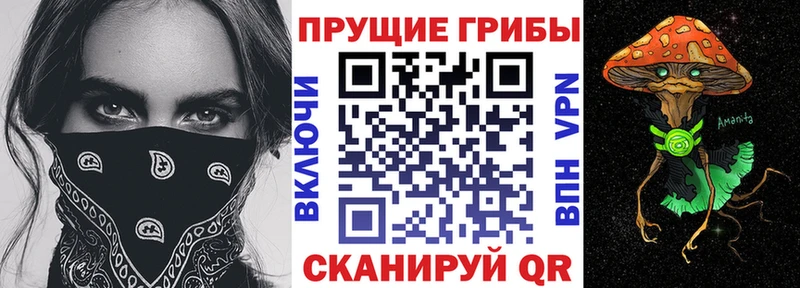 shop Telegram Киселёвск Псилоцибиновые грибы GOLDEN TEACHER MEGA онион